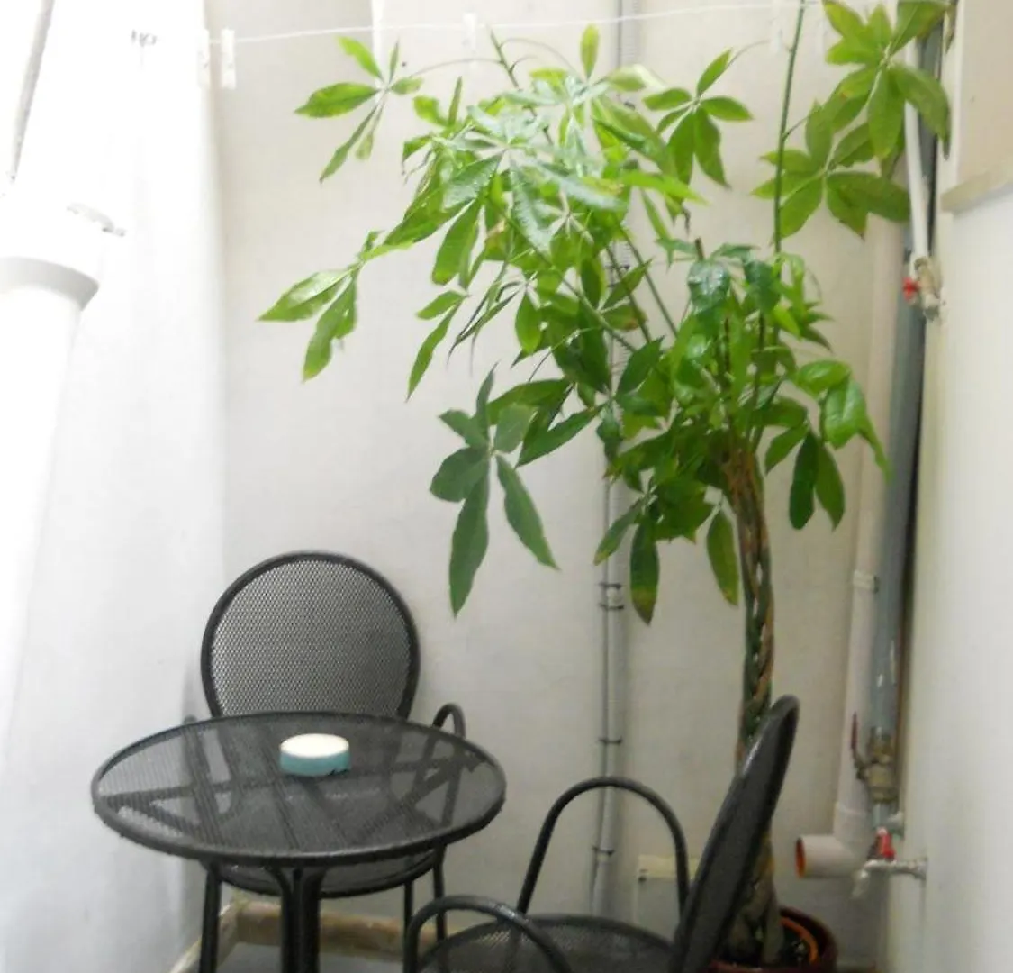 Bed & Breakfast La Bella Lecce B&B